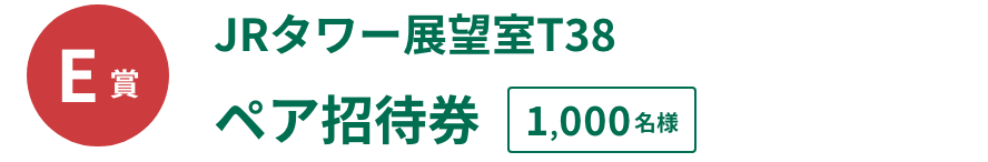 E賞 JRタワー展望室T38 ペア招待券 1,000名様