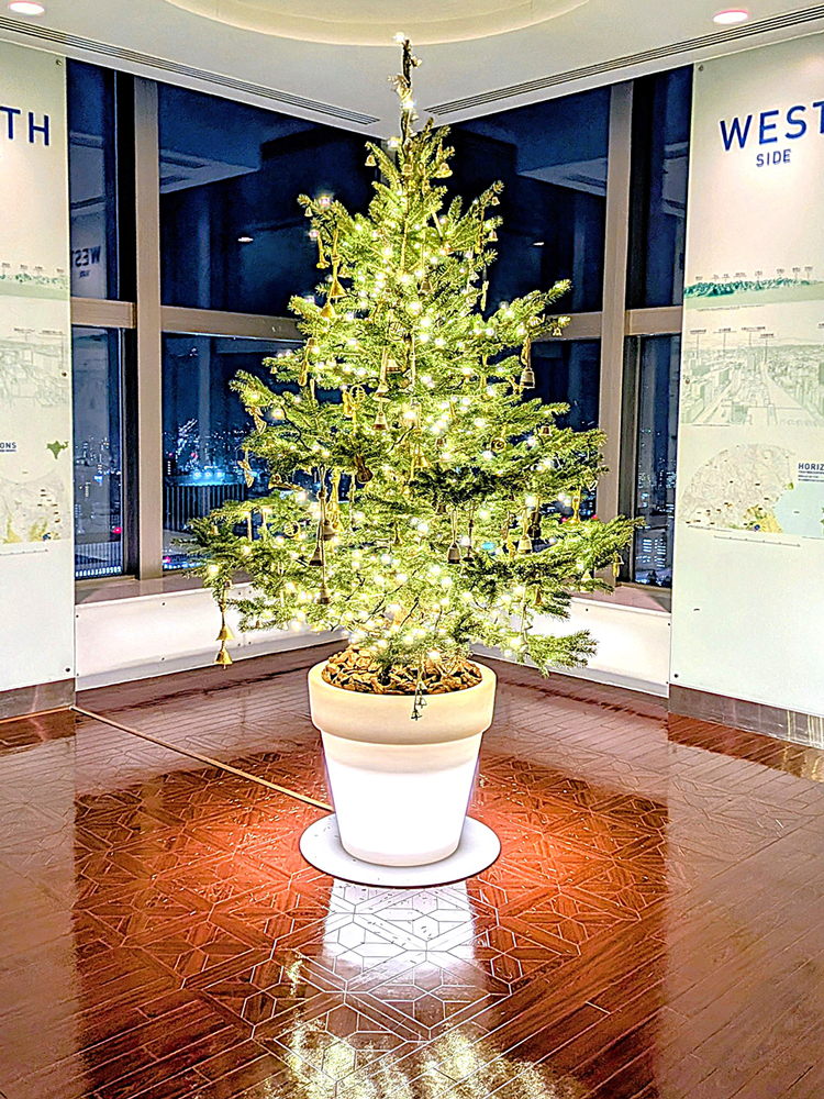 JRタワー展望室T38 XMAS TREE in T38–トピックス–JRタワー