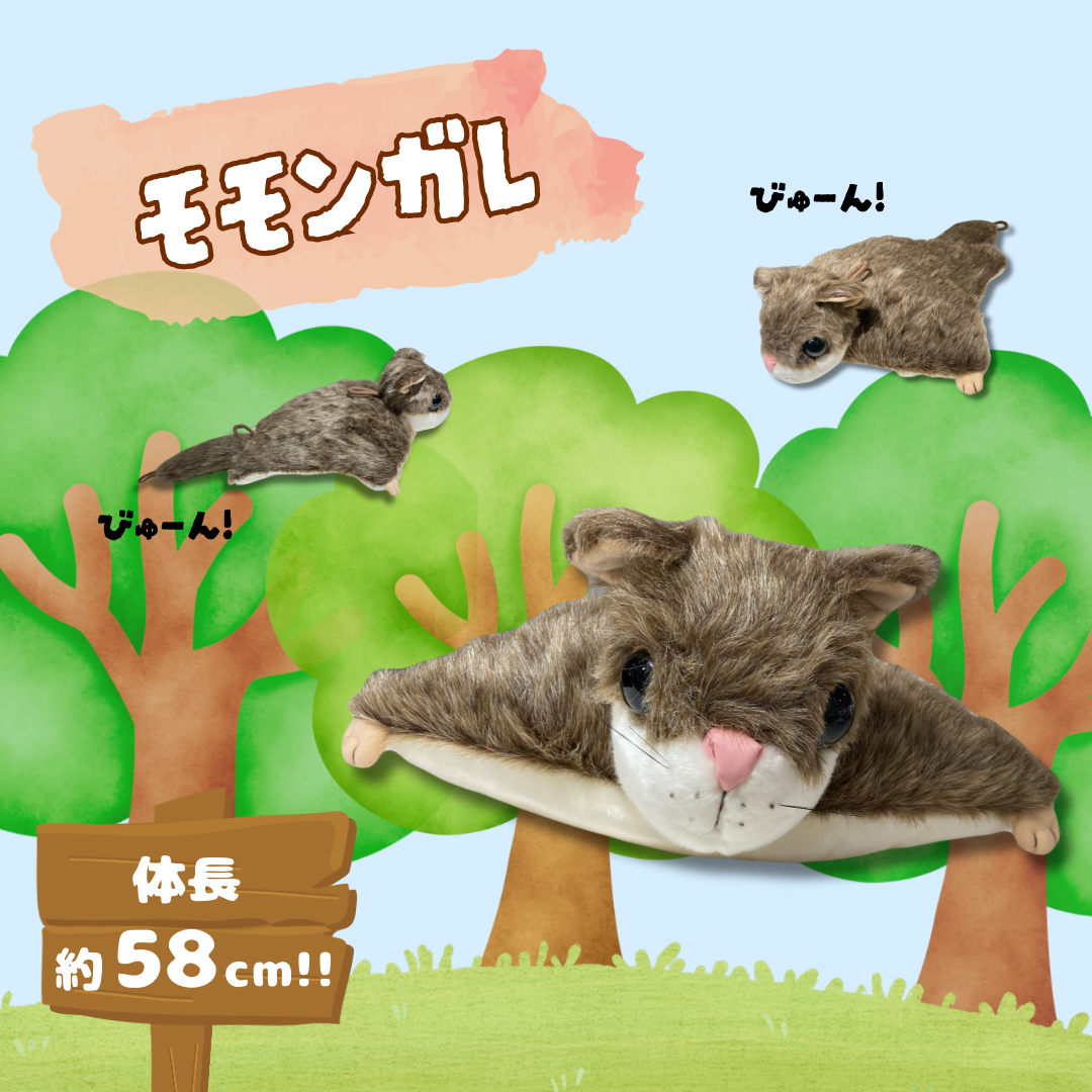 ミュージアムショップ ヴィア–ショップガイド–JRタワー